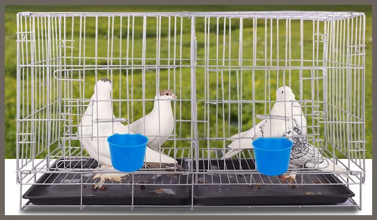 Oribuki duck-drinking-bottle-system provides reliable water on demand.