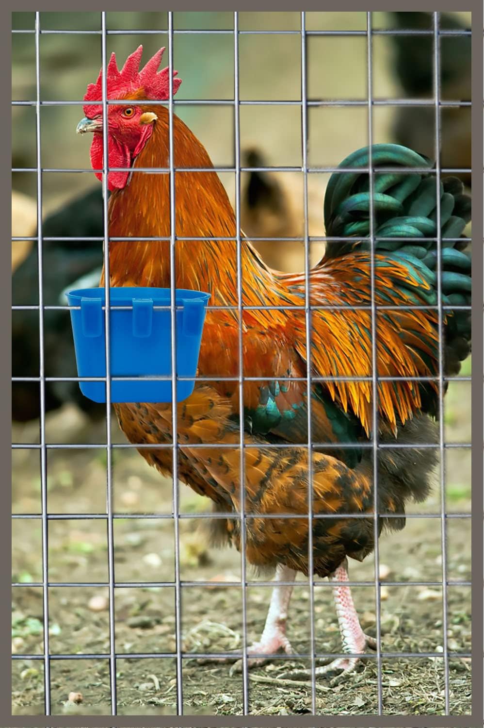Oribuki poultry-coop-drinker-assembly enables clean water access for birds.