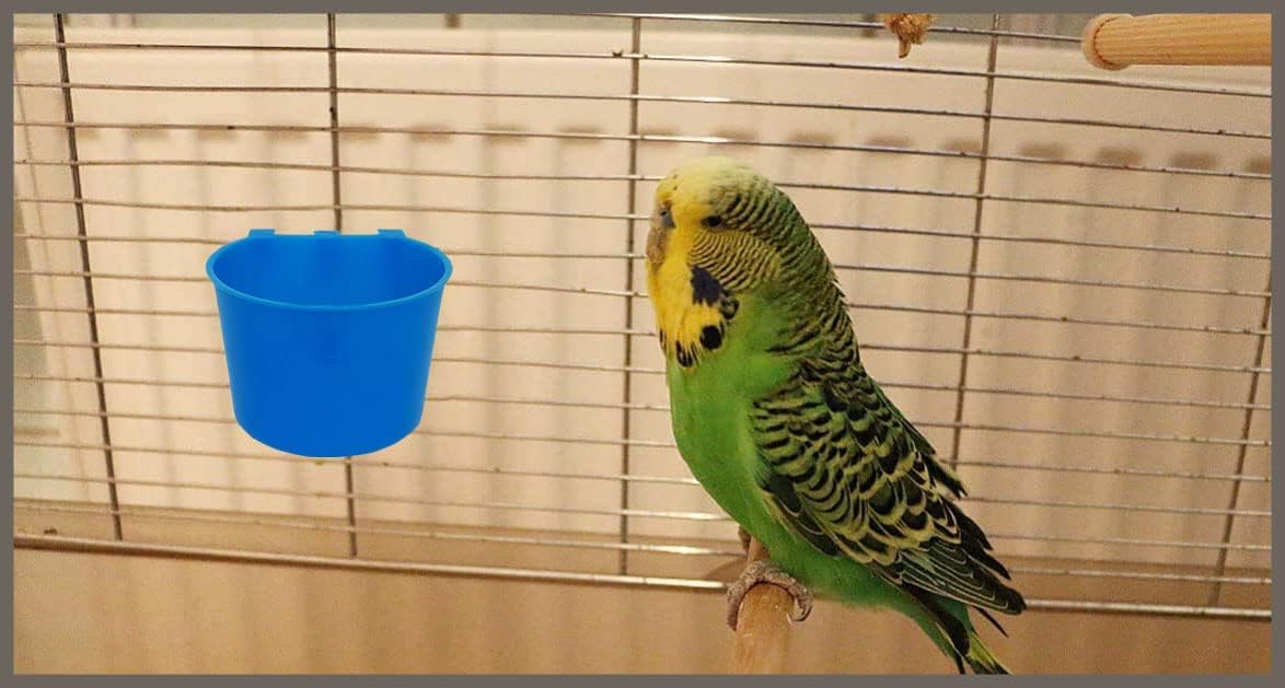 Oribuki quail-seed-treats-dispensing unit promotes enrichment during feeding.
