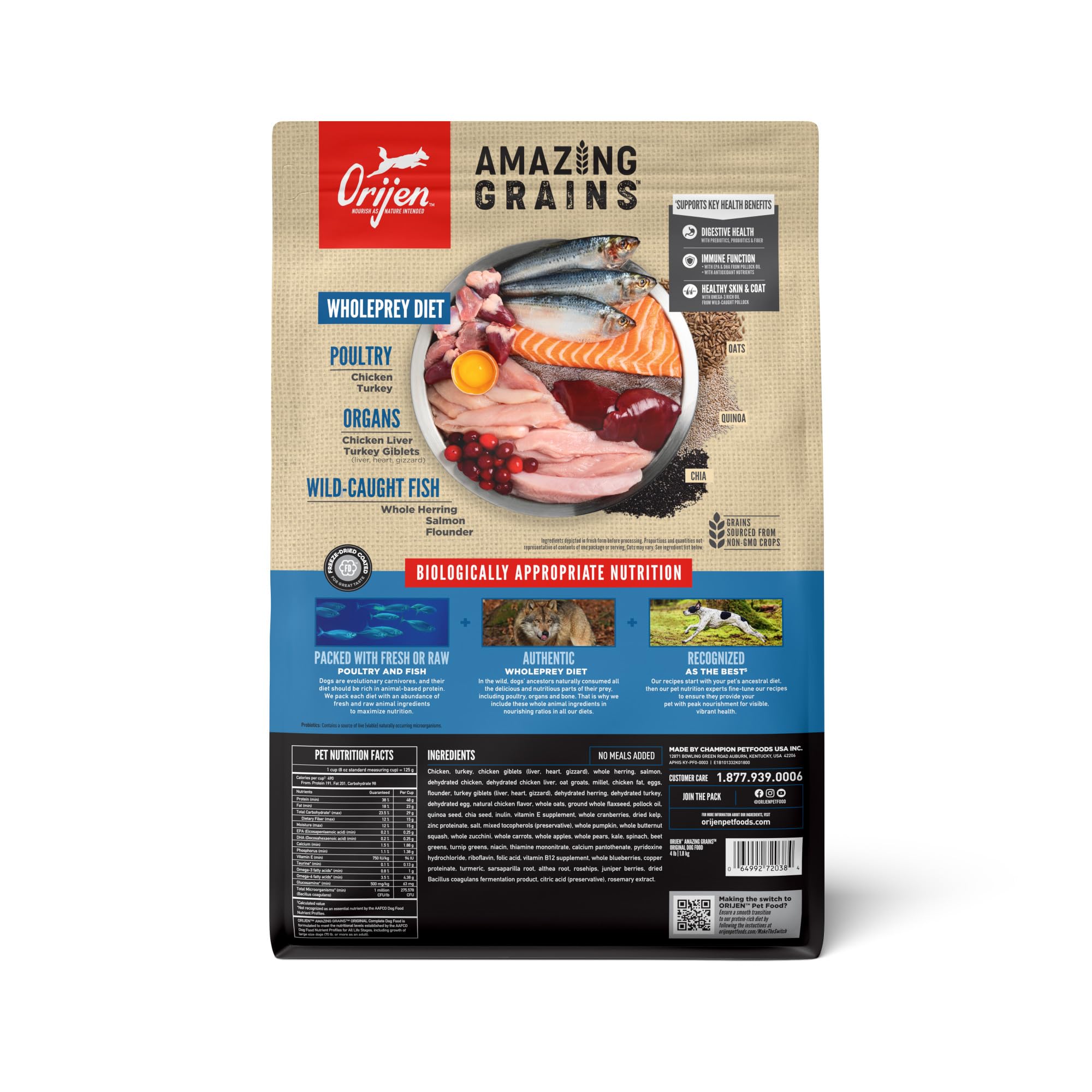 ORIJEN Amazing Grains kibble close-up highlighting grain blend for digestive health support