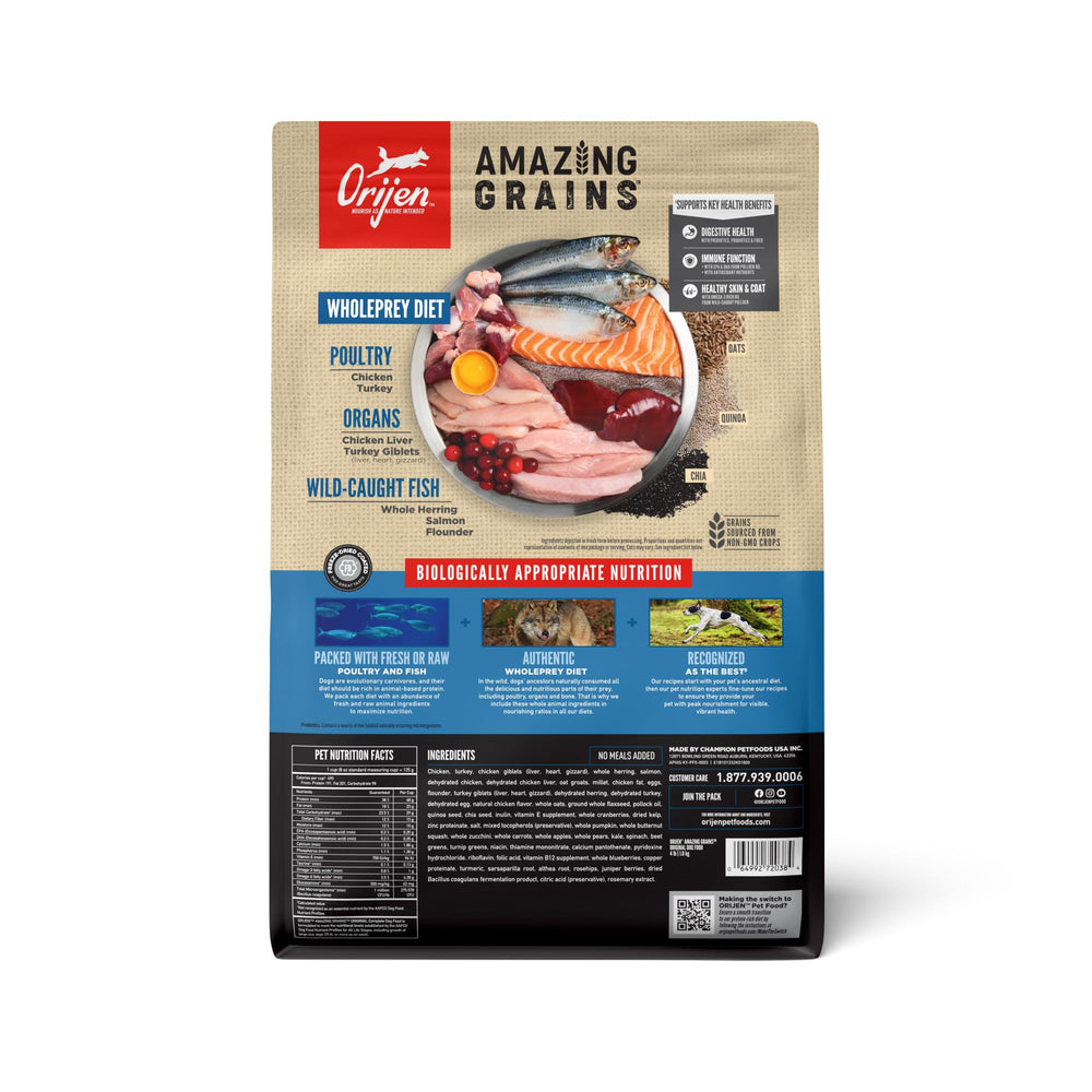 ORIJEN Amazing Grains kibble close-up highlighting grain blend for digestive health support