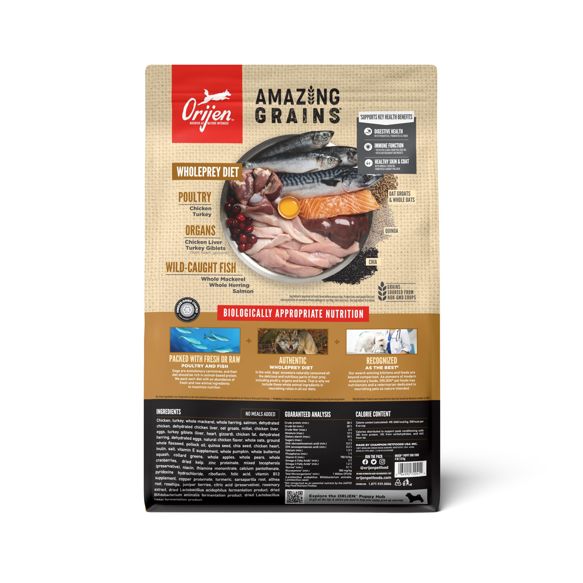 Orijen Amazing Grains Puppy bag back shows feeding guidelines and meat sources.