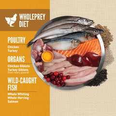 Orijen Amazing Grains Puppy kibble close-up shows texture and high-protein formula.