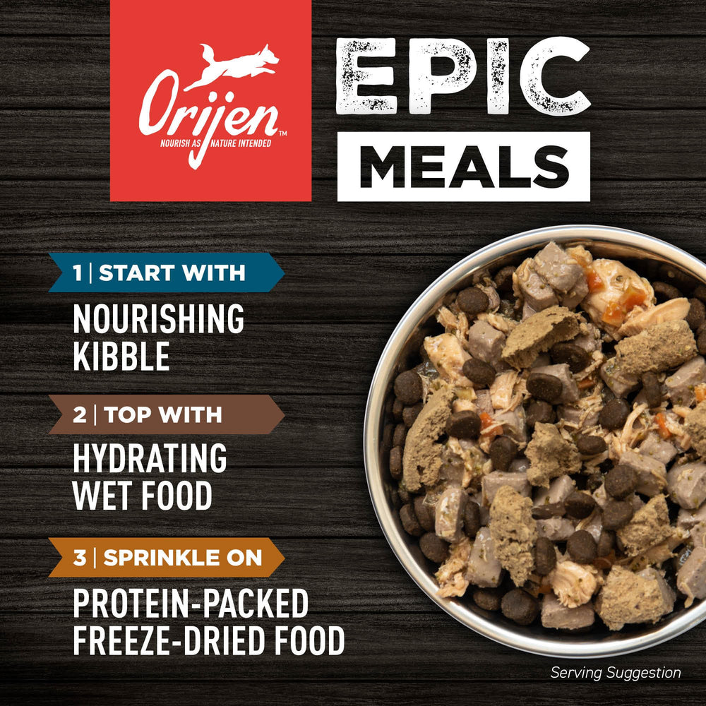 ORIJEN dog meal time served image implies satisfying, protein-rich feeding session.