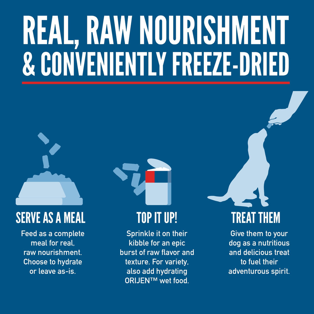 ORIJEN Epic Bites rehydrated meal image demonstrates quick prep with warm water.