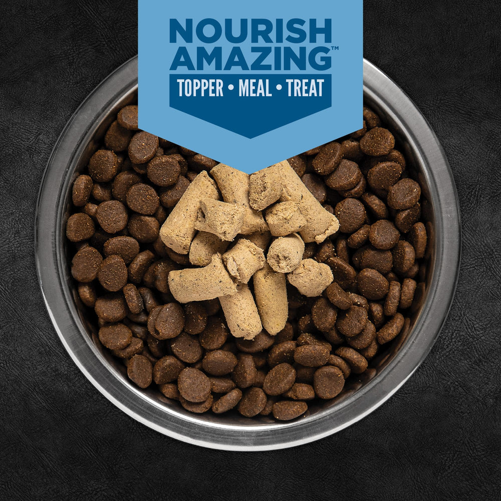 ORIJEN Epic Bites WholePrey ingredients close-up emphasize nutrient-dense components.