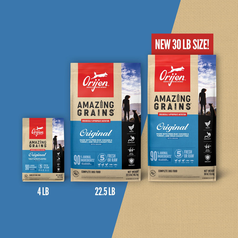 ORIJEN grain blend of oats quinoa chia highlights balanced fiber for digestion