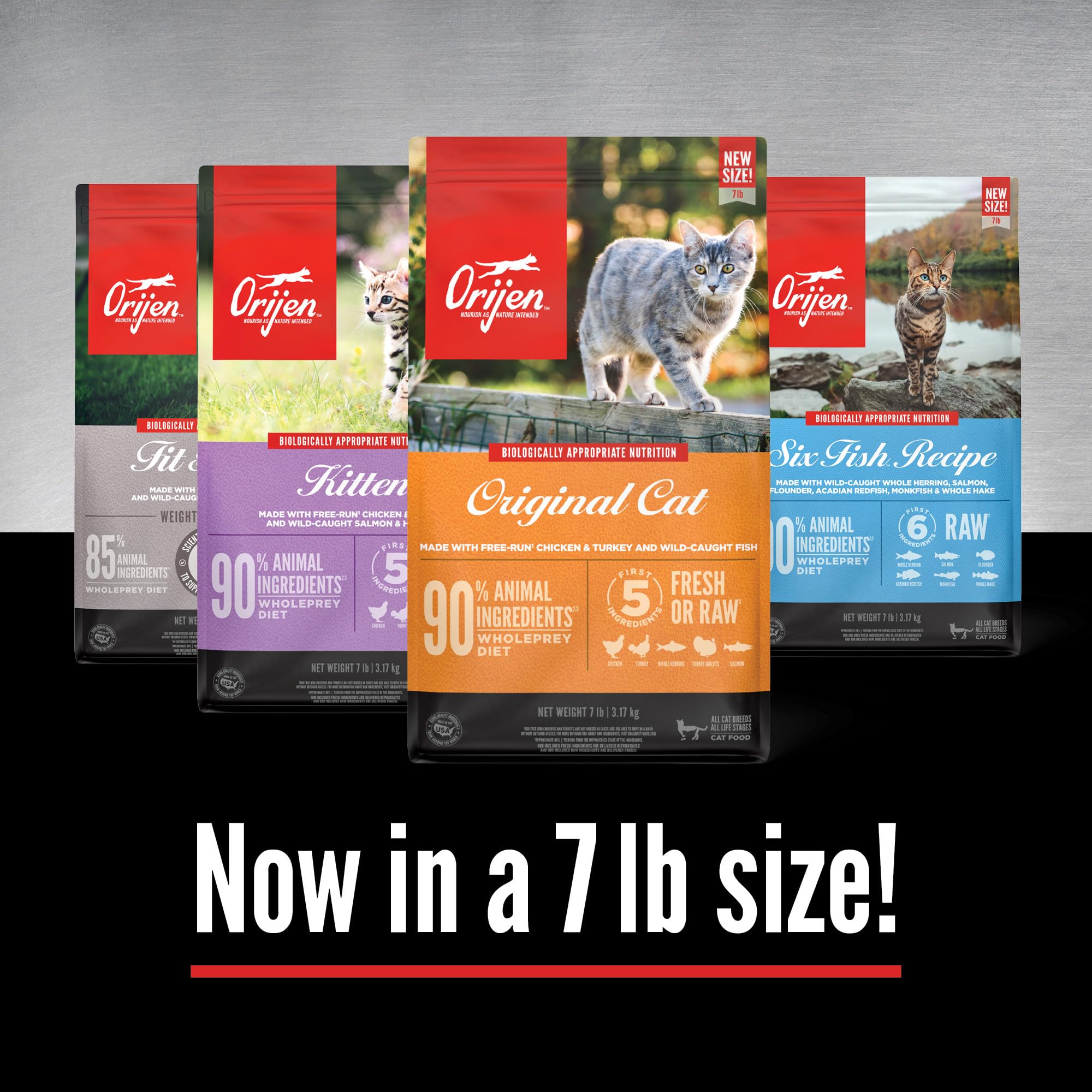 ORIJEN grain-free kitten food bag on shelf visual implies grain-free, high-protein nutrition.