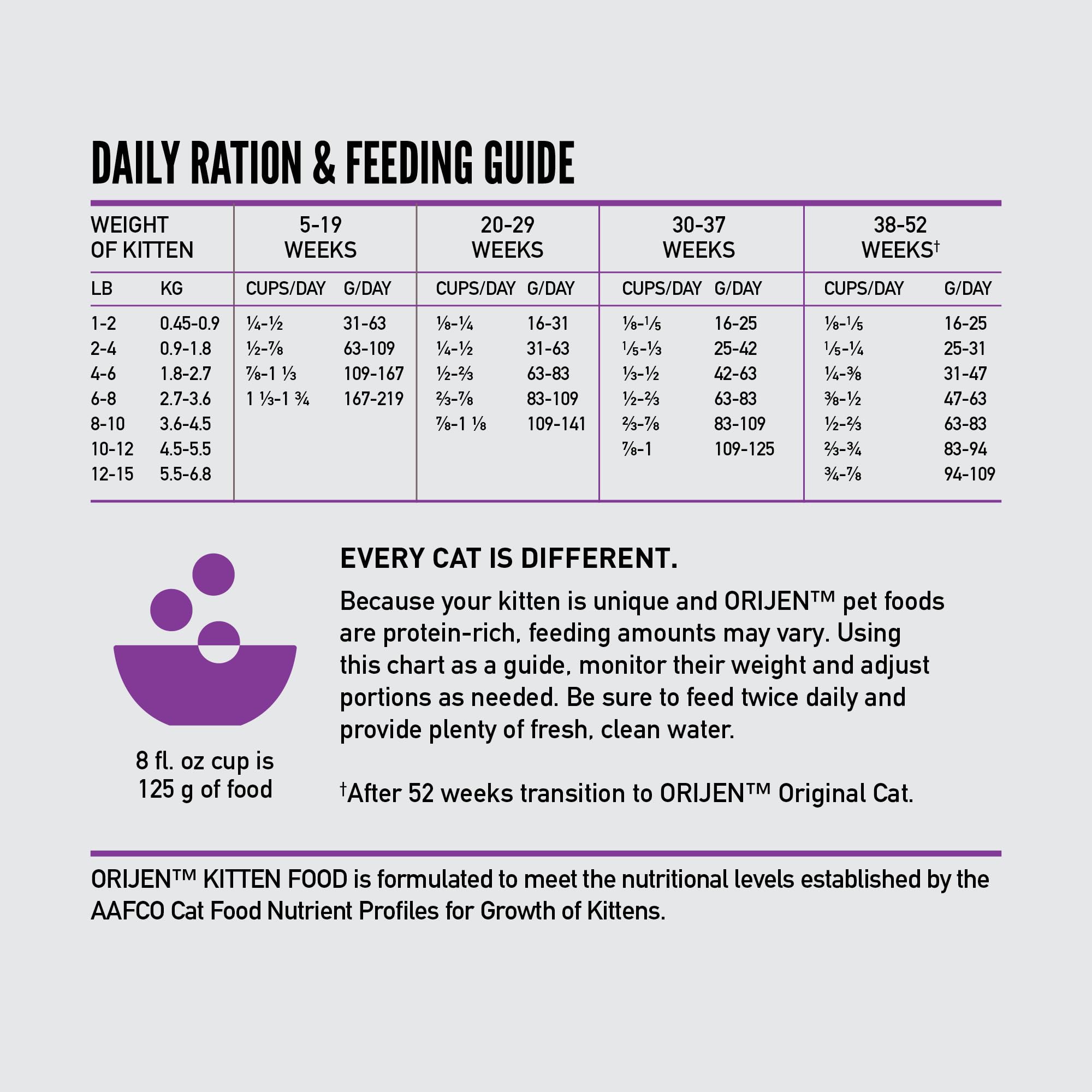 ORIJEN kitten kibble in serving bowl demonstrates portion-ready feeding and bite-sized crunch.
