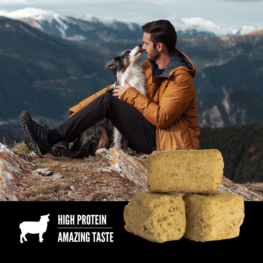 ORIJEN lamb, liver, and tripe pieces illustrating high-quality animal ingredients and flavor
