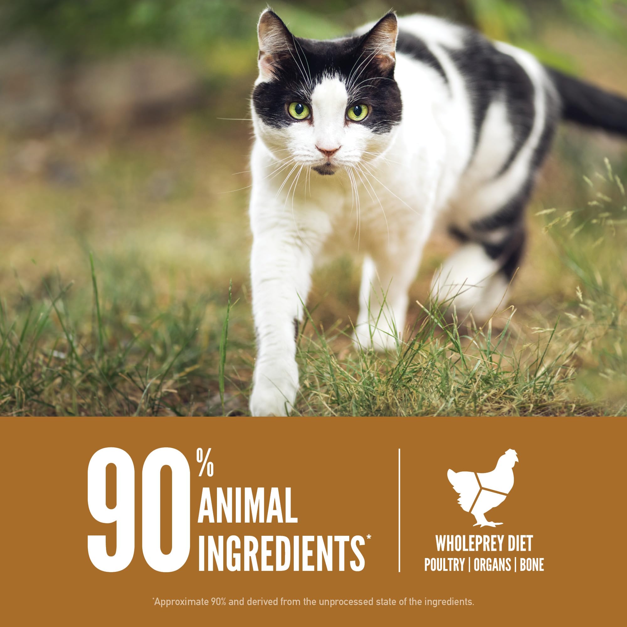 ORIJEN freeze-dried coating adds raw flavor cats instinctively crave