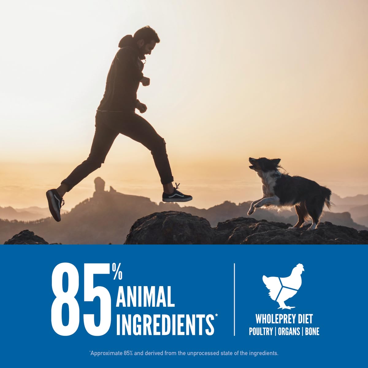 ORIJEN Original Dry Dog Food kibble-closeup emphasizes grain-free high-protein morsels dogs crave