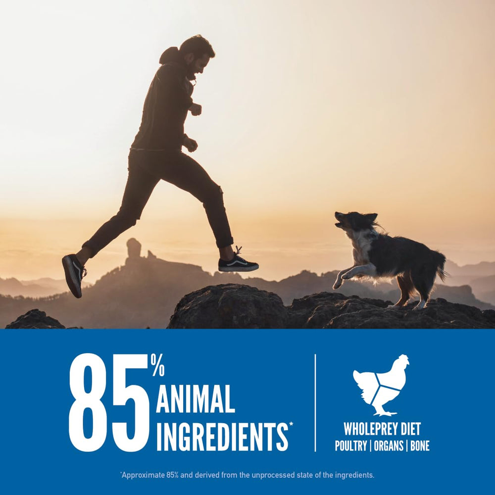 ORIJEN Original Dry Dog Food kibble-closeup emphasizes grain-free high-protein morsels dogs crave