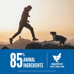 ORIJEN Original Dry Dog Food kibble-closeup emphasizes grain-free high-protein morsels dogs crave