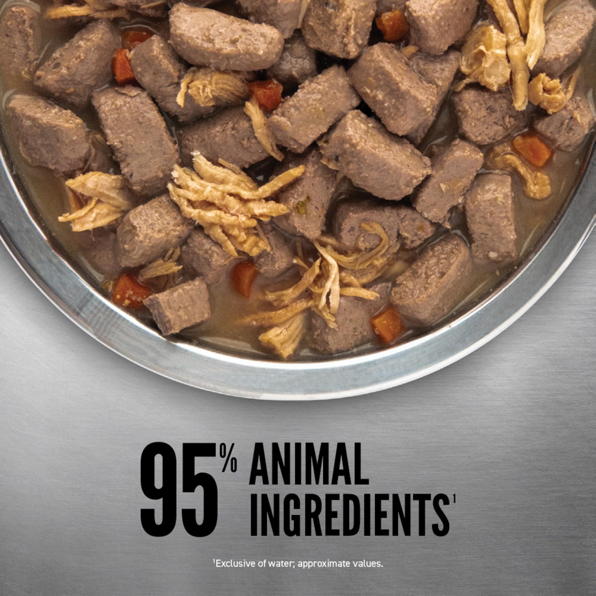 Orijen Original Stew dog mealtime image captures a pet enjoying high-protein dinner.