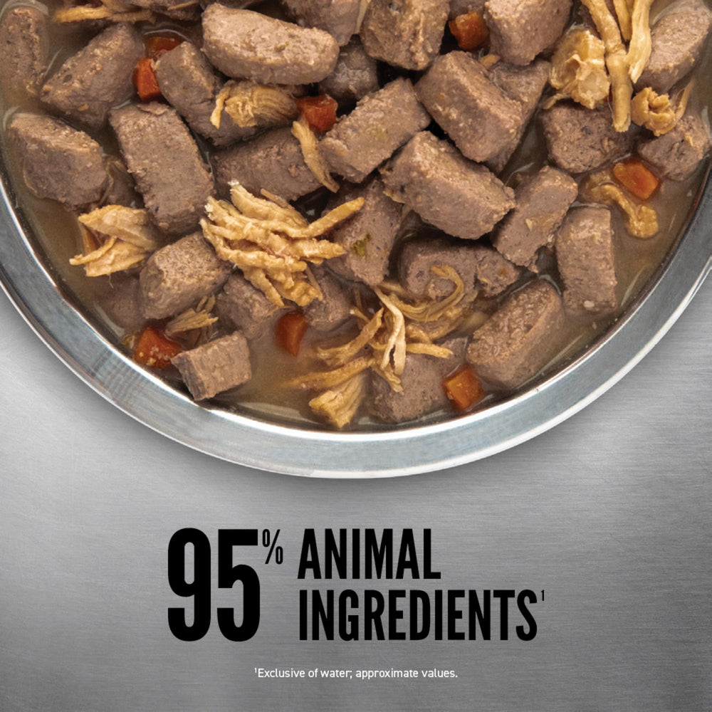 Orijen Original Stew dog mealtime image captures a pet enjoying high-protein dinner.