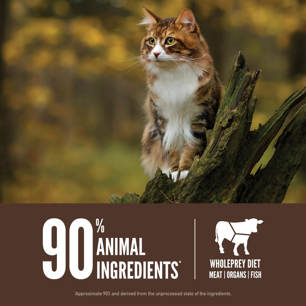 ORIJEN Regional Red freeze-dried liver coating signals flavorful nutrition.