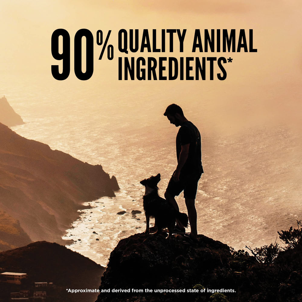 ORIJEN Regional Red ingredients include beef, lamb, boar, pork, and fish for variety.