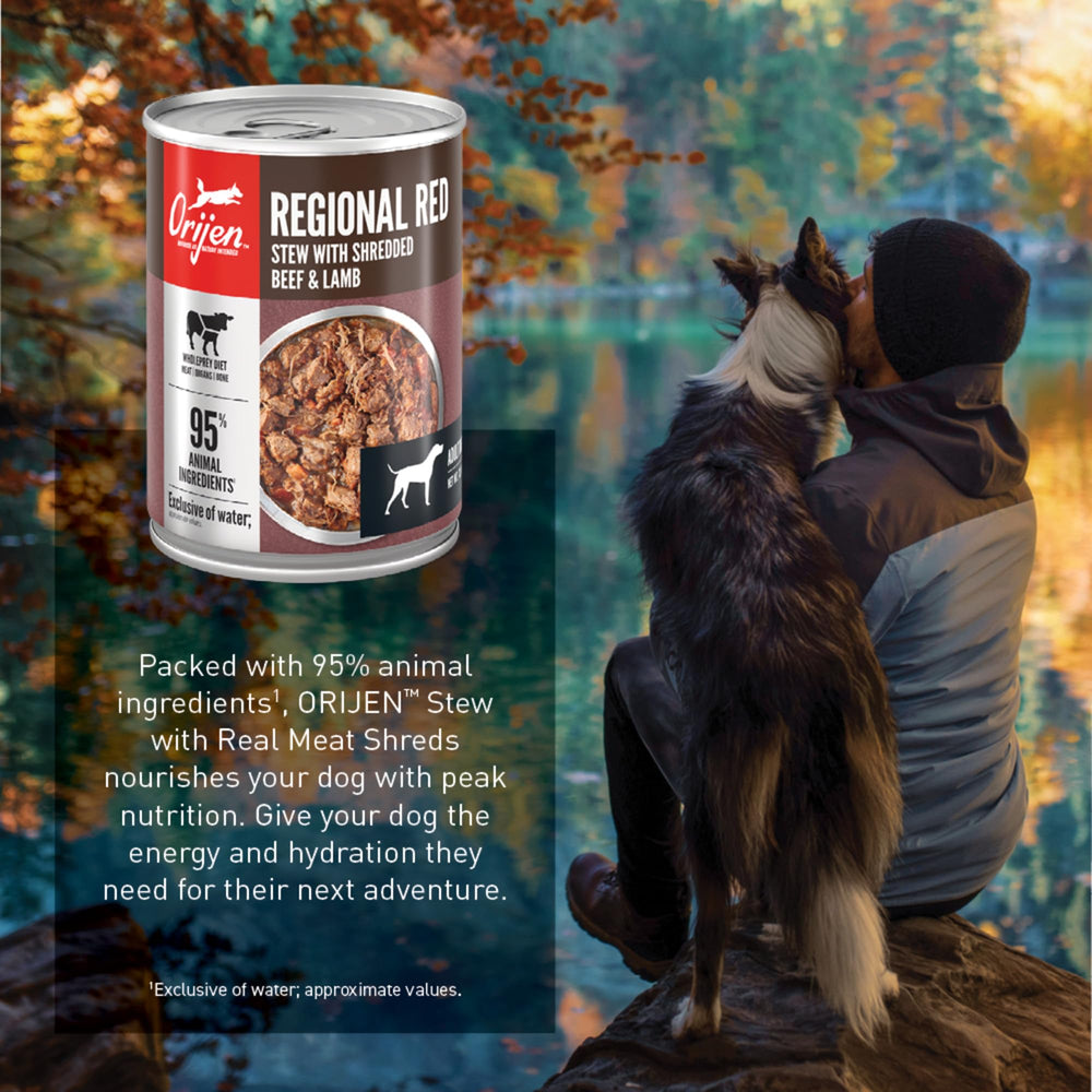 ORIJEN Regional Red Stew moist texture in dog bowl easy to digest.