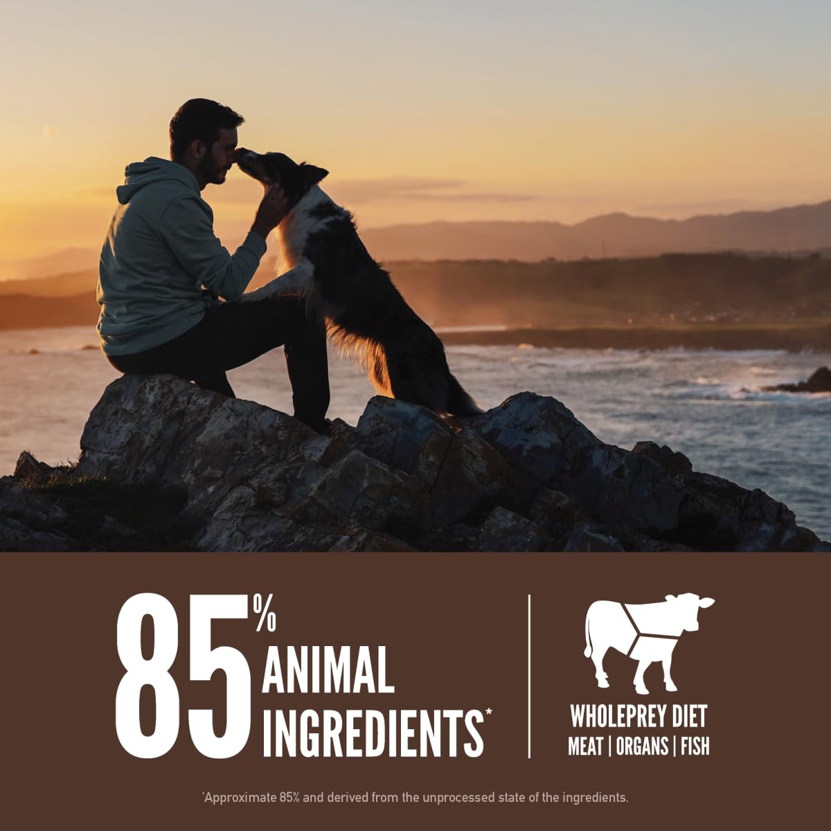 ORIJEN Regional Red WholePrey ingredients with nourishing organs for natural balance.
