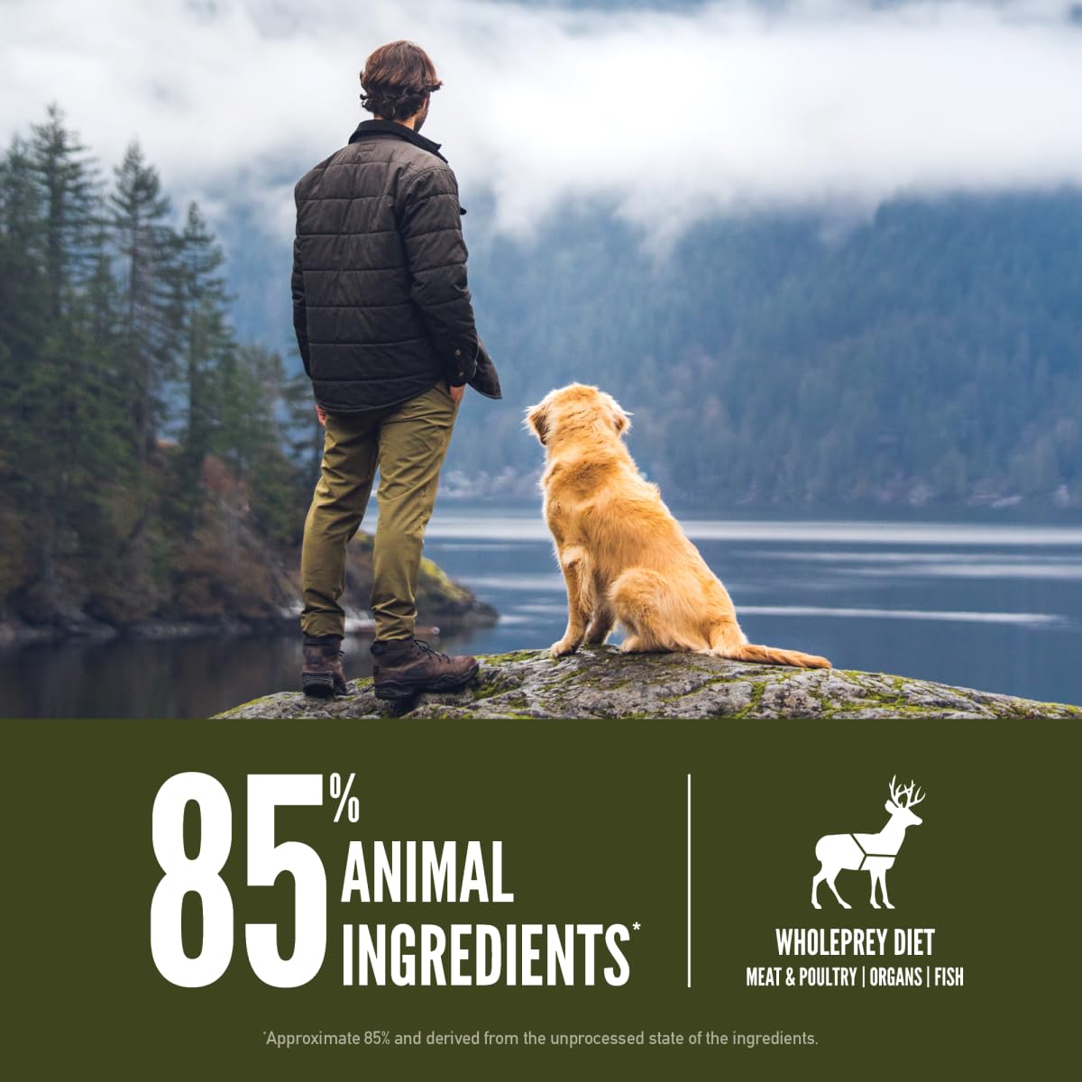 ORIJEN TUNDRA fresh and raw ingredients preserved by refrigeration and freezing for peak freshness.