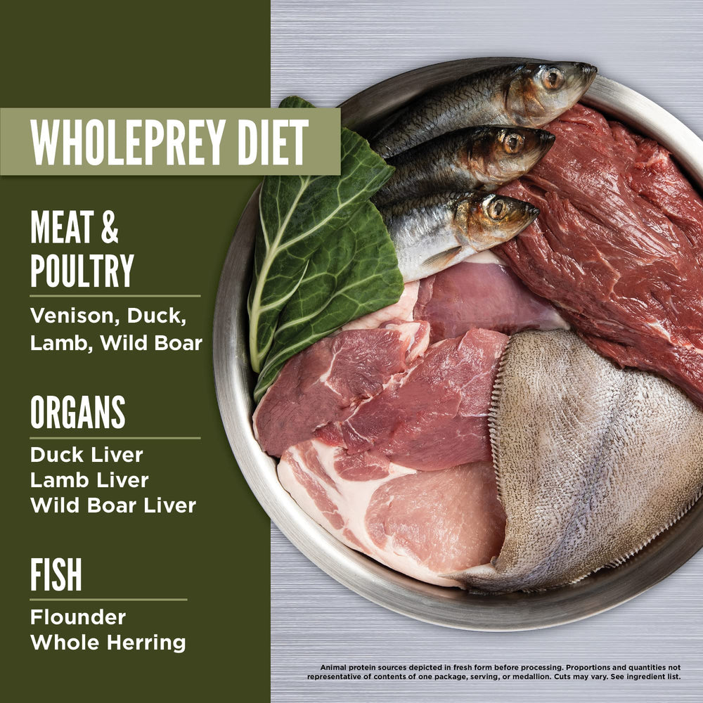 ORIJEN TUNDRA grain-free freeze-dried formula designed for dogs with grain sensitivities.