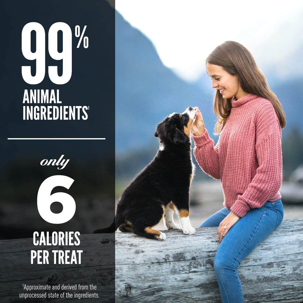 ORIJEN-USA made freeze-dried dog treats for adventures and reliable rewards