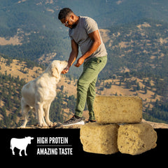 ORIJEN WholePrey ingredients visual showing nourishing organs for canine nutrition