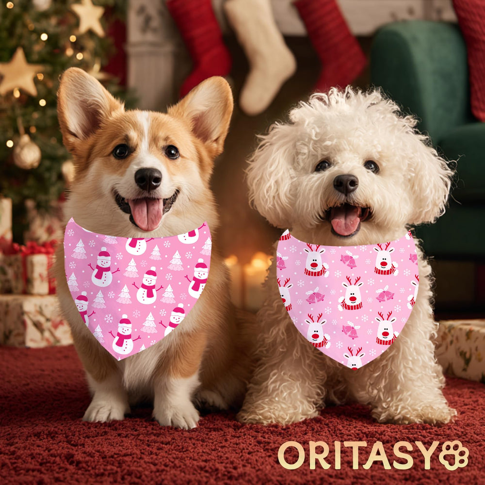 ORITASY festive dog bandana on a photo-ready pup for holiday moments.