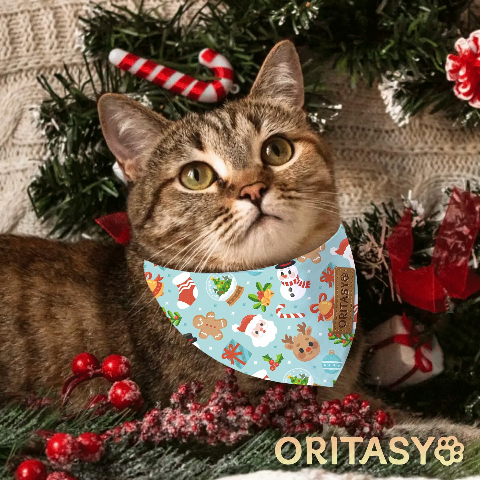 ORITASY premium fabric closeup shows soft texture and durability.