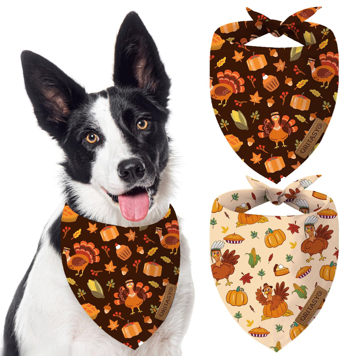 Oritasy Thanksgiving bandanas pack front view for festive photos.