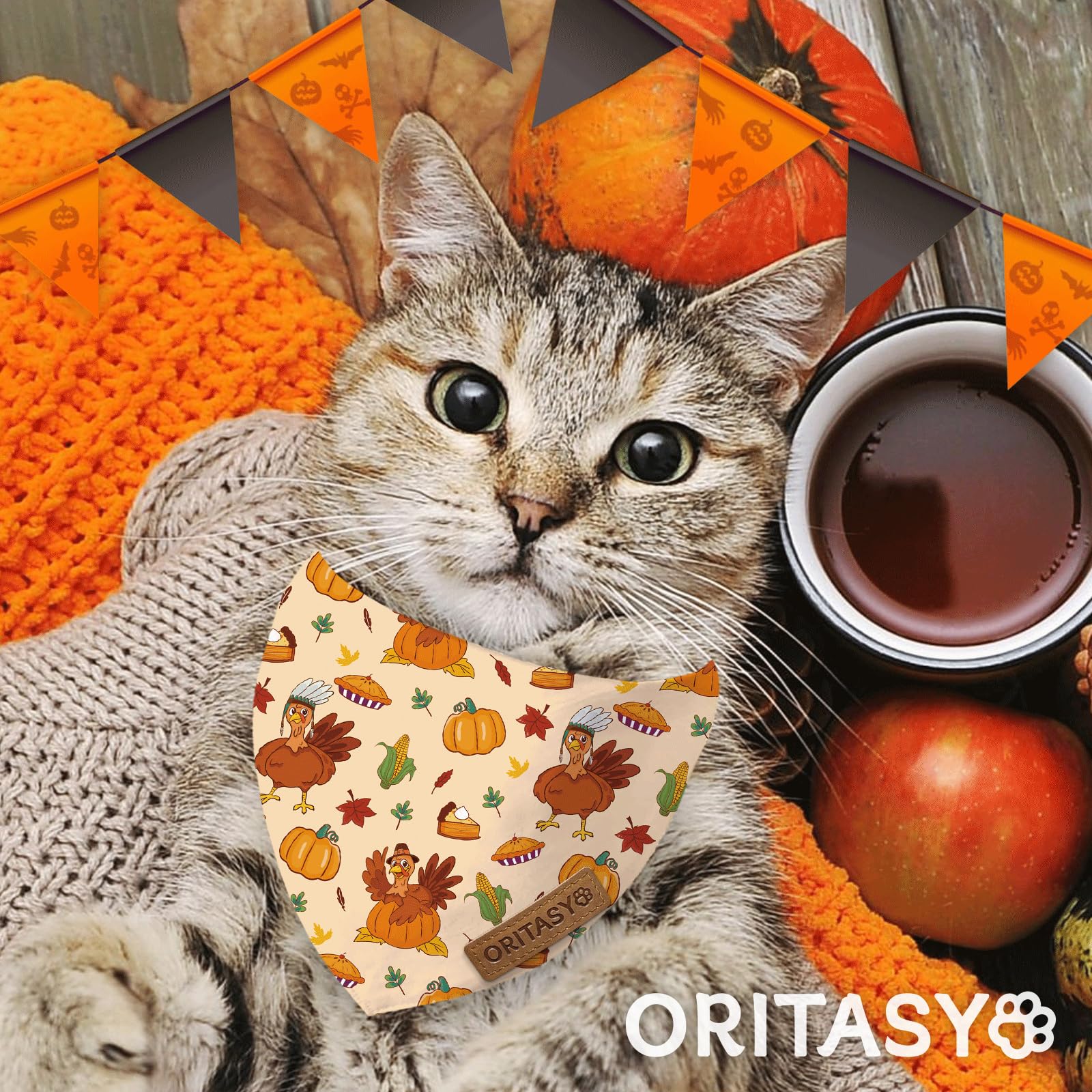 Oritasy vibrant-print bandana during dog walks for seasonal charm.
