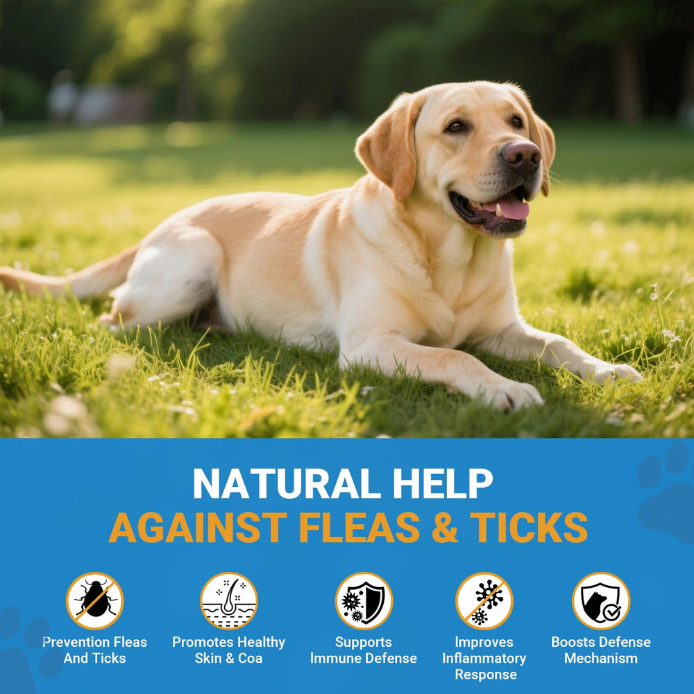 Oritess chicken-flavor chews for dogs—a palatable natural pest preventive.