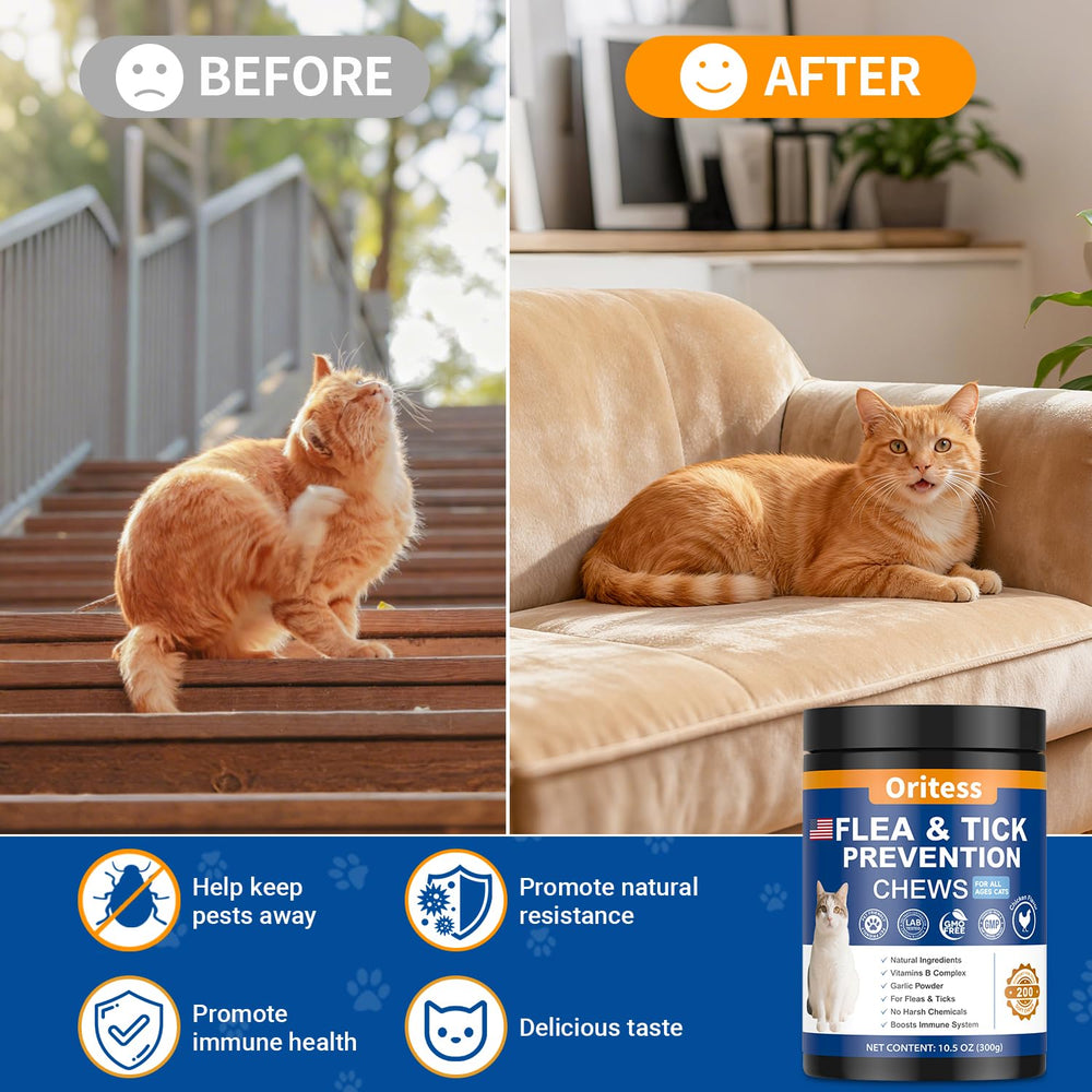 Oritess natural ingredients infographic highlights coconut oil flaxseed and brewers yeast