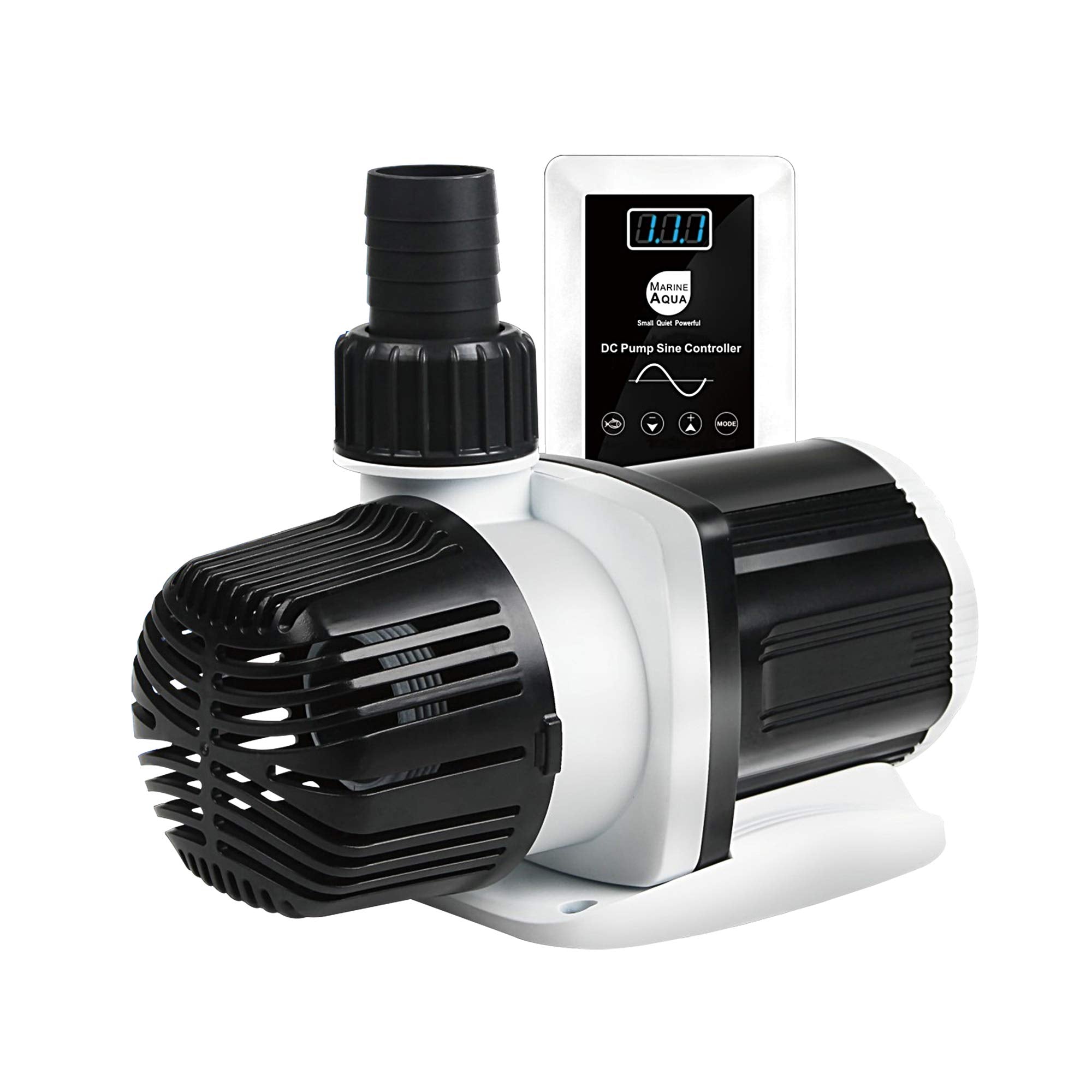 Orlushy DC-4000 pump in silent sine-wave operation for a quiet tank.
