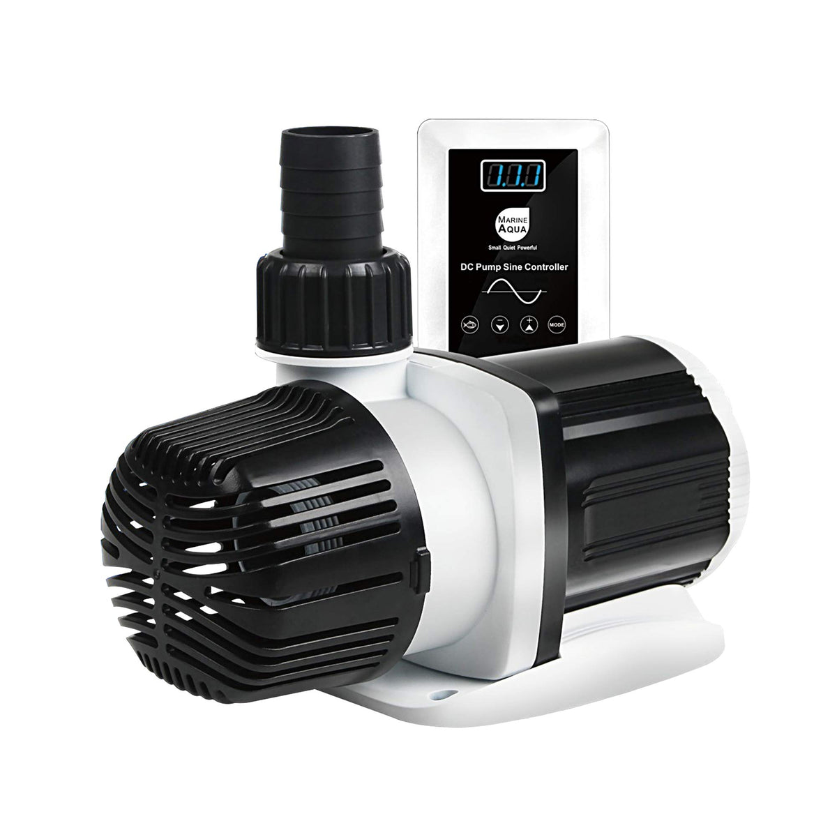 Orlushy DC-4000 pump in silent sine-wave operation for a quiet tank.