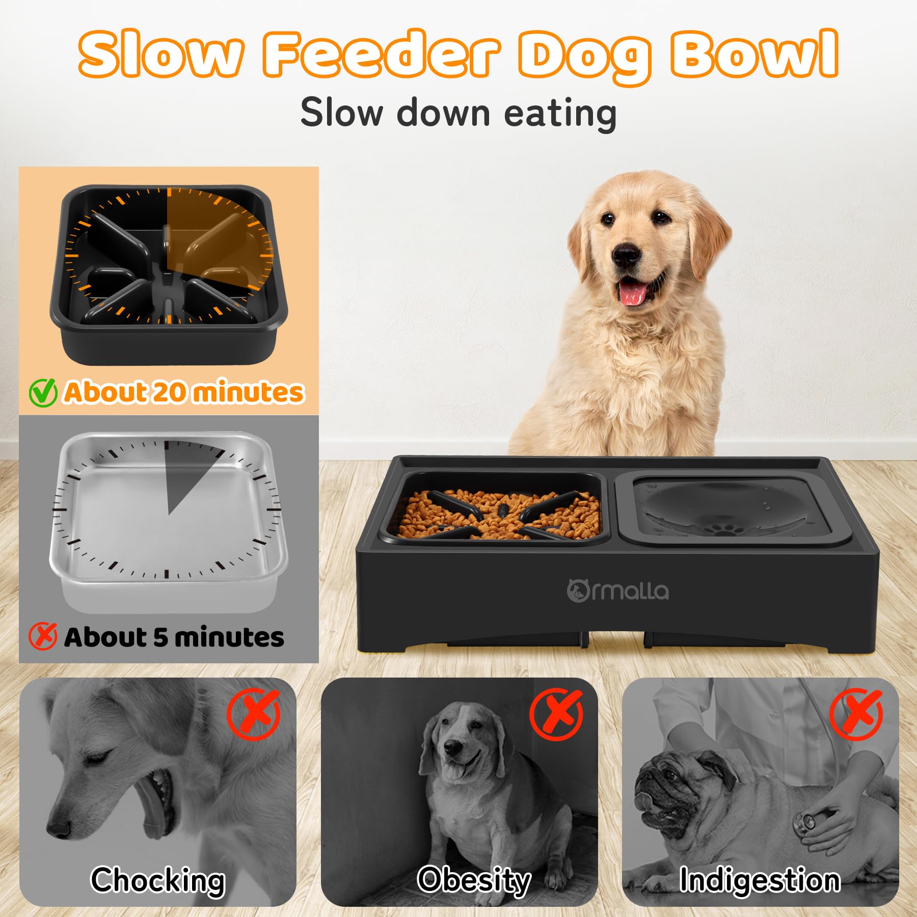 Ormalla elevated slow-feeder at 10-1 inch height aids larger breeds and joint comfort.
