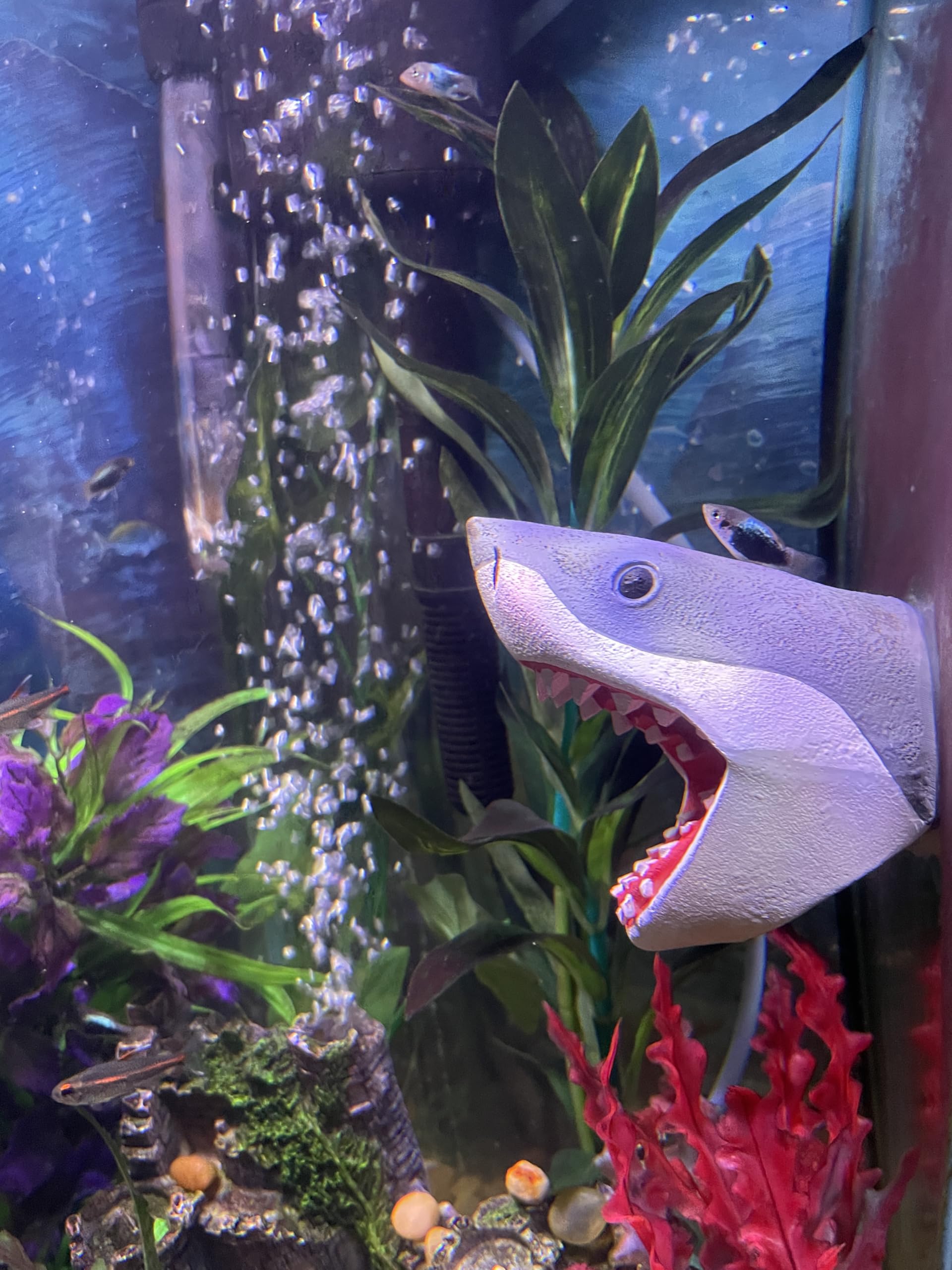 OrnaMounts lifelike 3D shark detail enhances depth and visual interest in tanks.
