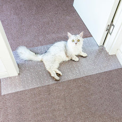 Oroonoko carpet protector clear doorway coverage shows durable pet shield for high-traffic areas