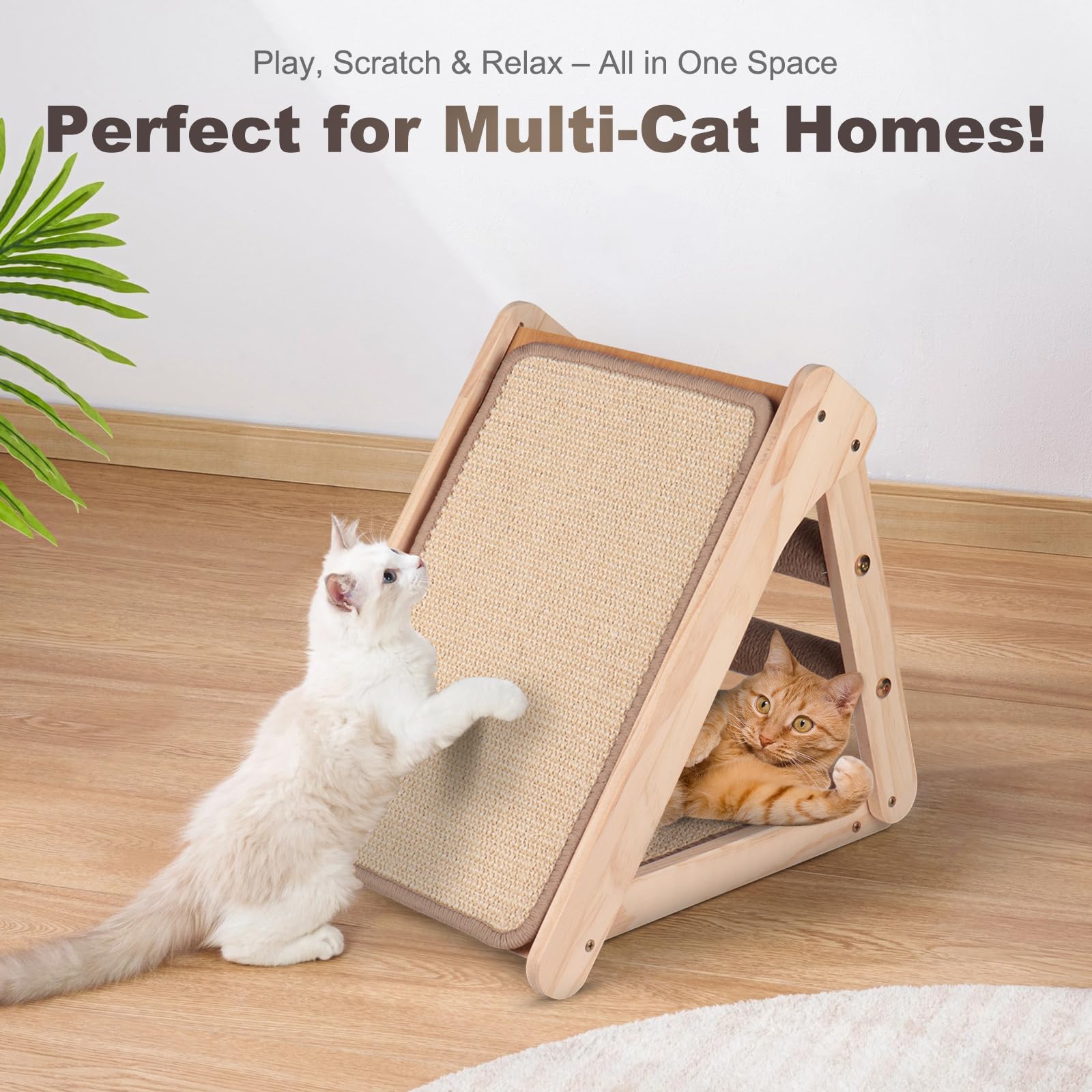 Oroonoko kitten-friendly scratcher is ready for safe, engaging play sessions.