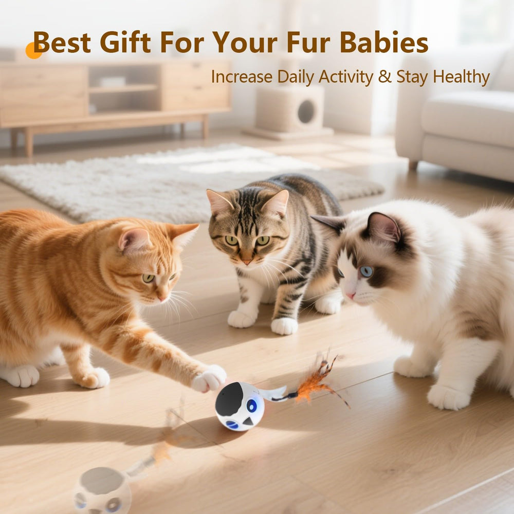 ORSDA cat ball toy clap-activation demo shows quick start.