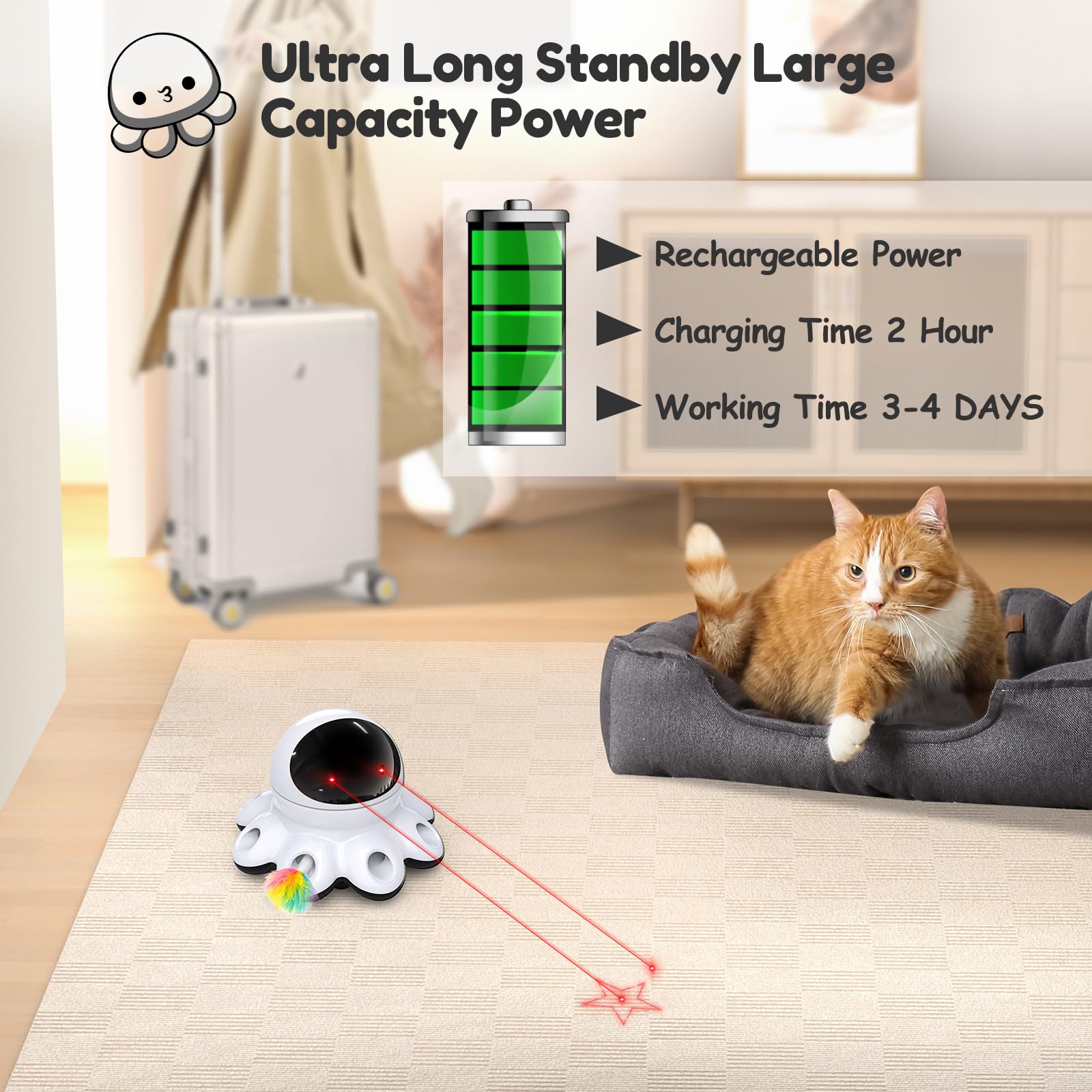 ORSDA Cat Laser Toy includes night mode to keep evenings quiet for the family