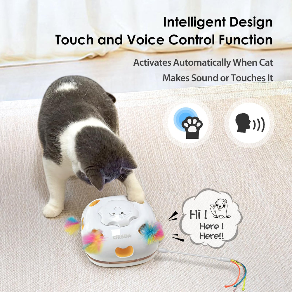 ORSDA cat toy removable blanket shows unpredictable motion and hiding spots for exploration.