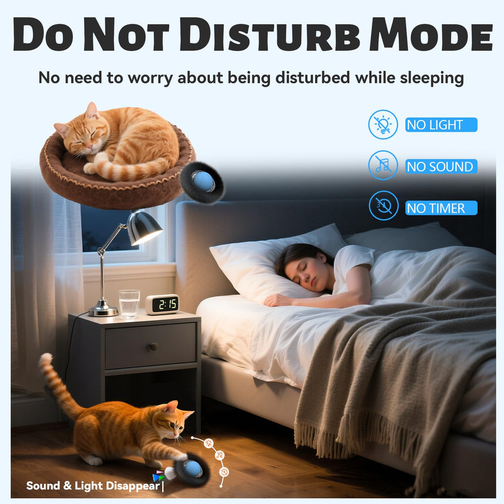 ORSDA ball-under-mat action captured for engaging feline entertainment.