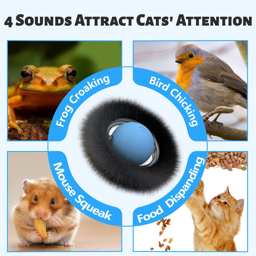 ORSDA clap-to-find-ball feature demonstrated for quick replays.