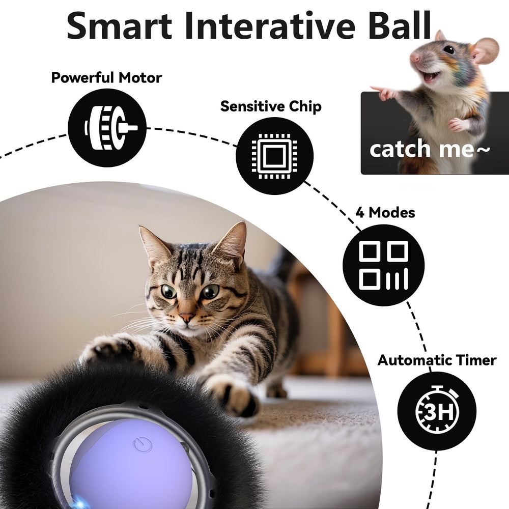 ORSDA four-sounds-attraction engages cats with squeaks and calls.