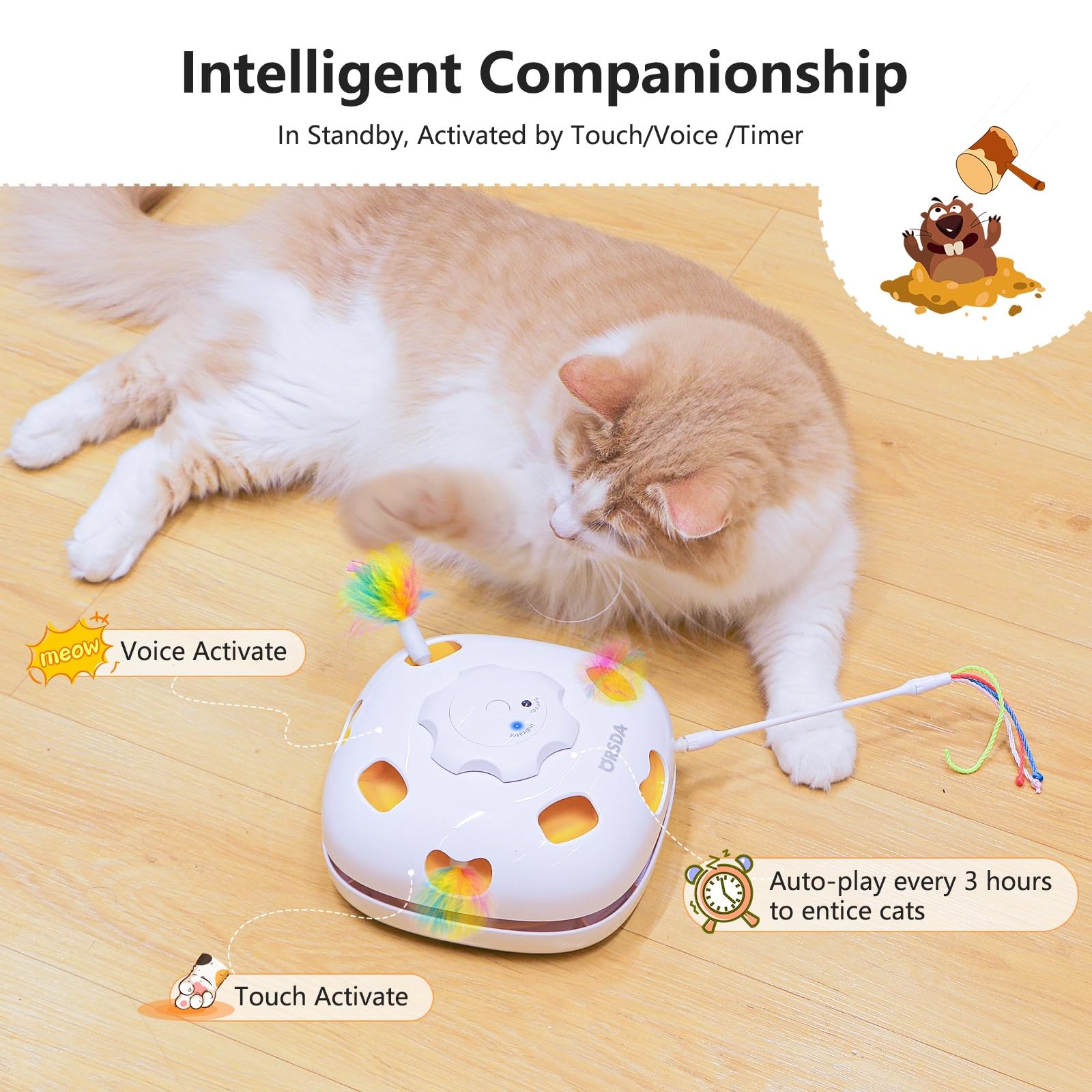 ORSDA hide-and-seek cover invites stalking and curious exploration