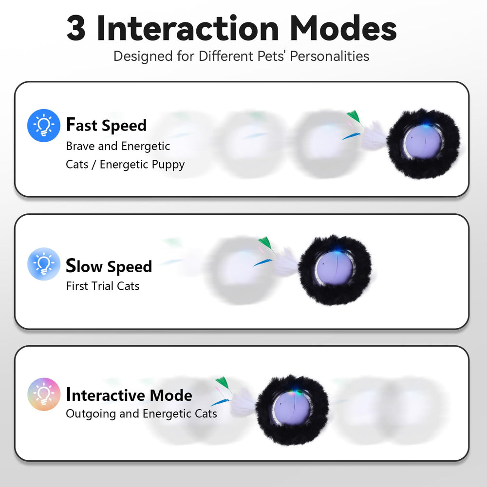 ORSDA responsive-support team provides quick help when questions arise.
