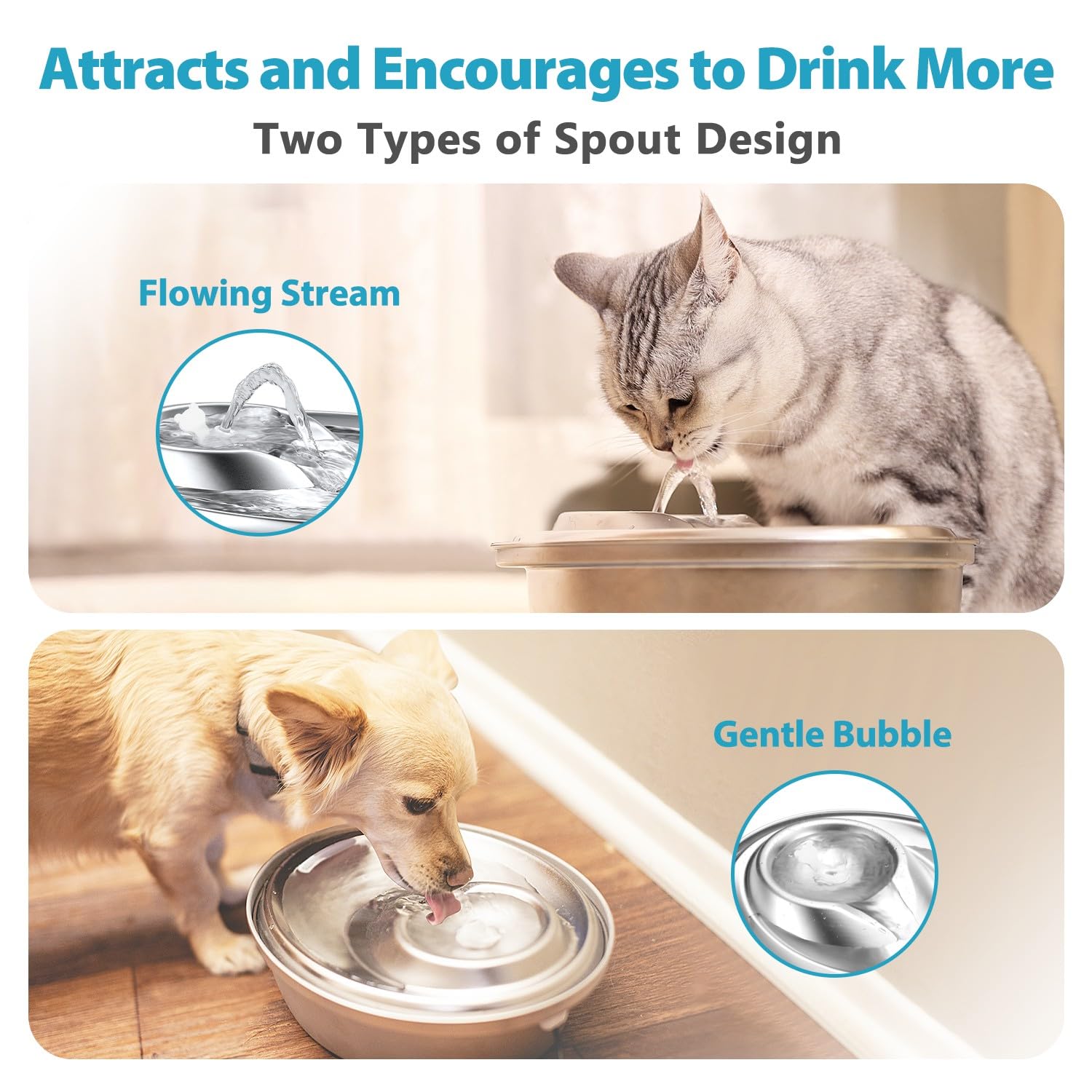 ORSDA cat water fountain spouts design offers varied drinking options