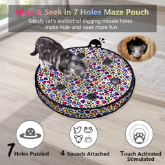 ORSDA interactive ball demonstrates random movement for chase-and-pounce fun.